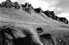 &Iacute; Sudursveit / Sudursveit, SE Iceland, 1994