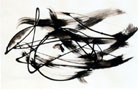 Nicht Fisch, nicht Vogel, Nr. 11 aus Serie von 12, 2007 