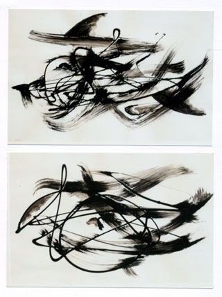 Nicht Fisch, nicht Vogel, Nr. 10 und 11, 2005