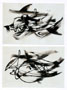 Nicht Fisch, nicht Vogel, Nr. 10 und 11 aus Serie von 12, 2007 