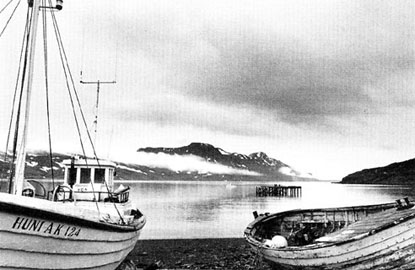 Forsida / Djupavik, Island