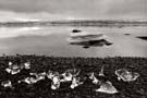 Metamorphoses - Midfjördur, 1999